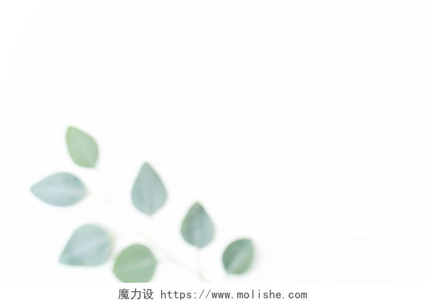 斯堪的纳维亚极简风格绿色树叶背景图片 - 魔力设